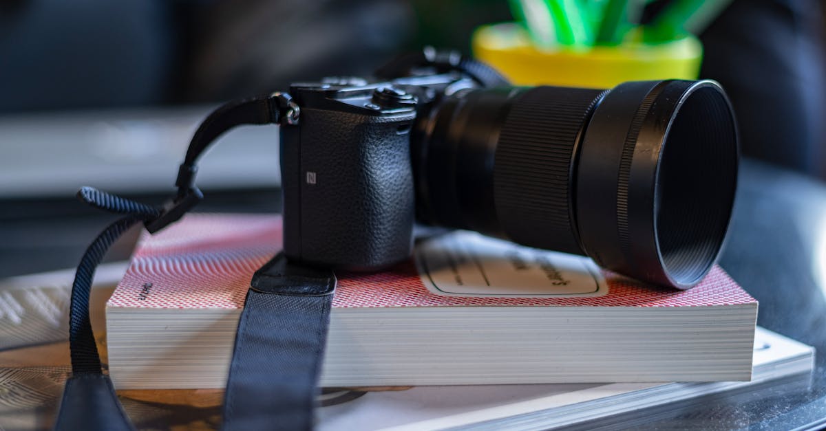 Descubra o mundo cativante da fotografia amadora. Aprenda dicas, compartilhe suas criações e deixe sua criatividade correr solta capturando momentos únicos com sua câmera.