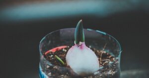 découvrez l'univers captivant de la photographie émergente, où l'innovation artistique et les talents prometteurs se rencontrent. explorez des œuvres uniques qui redéfinissent les frontières de la création visuelle et plongez dans les nouvelles tendances photographiques qui façonnent notre perception du monde.