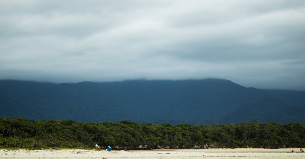 découvrez l'univers captivant de sebastião salgado, photographe de renommée mondiale, célèbre pour ses images saisissantes qui témoignent des luttes humaines et des beautés naturelles. plongez dans son travail engagé et ses projets photographiques qui sensibilisent à des enjeux sociétaux et environnementaux.