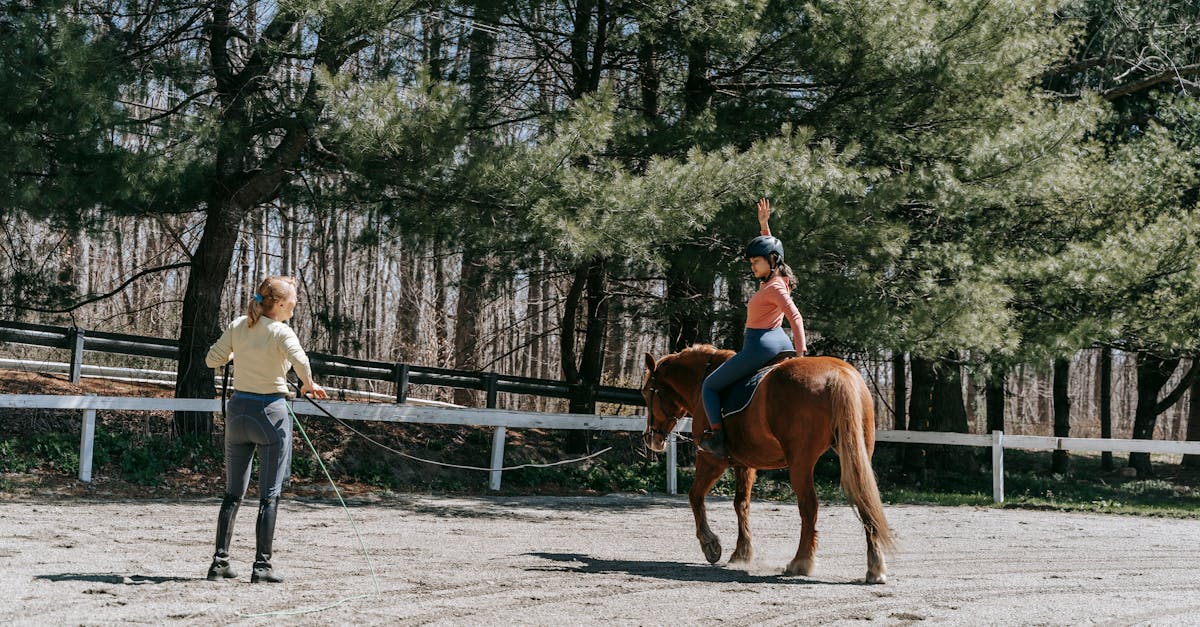 Scopri la nostra guida completa per principianti, pensata per aiutarti ad acquisire le nozioni di base essenziali in vari campi. Che tu voglia apprendere una nuova competenza, migliorare le tue conoscenze o dedicarti a un hobby, i nostri consigli pratici e le nostre risorse personalizzate ti guideranno in ogni fase del percorso. Inizia oggi e muovi i primi passi verso il successo!
