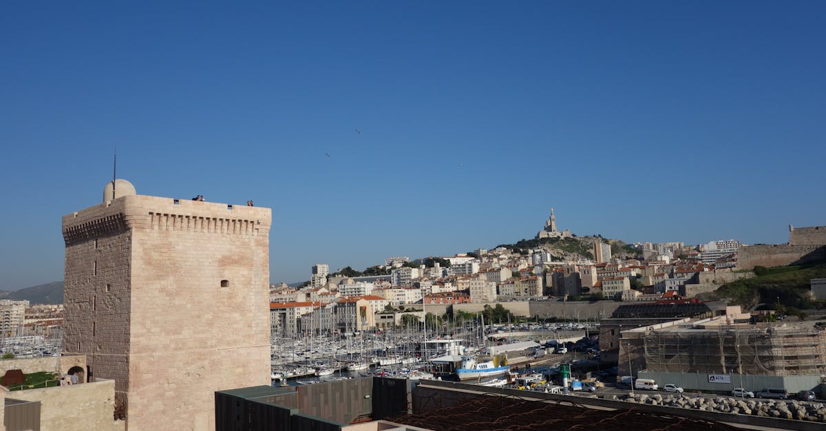 ¡Descubre nuestra comparativa de cámaras para elegir la cámara ideal! Analizamos las características, el rendimiento y el precio para satisfacer todas tus necesidades fotográficas.