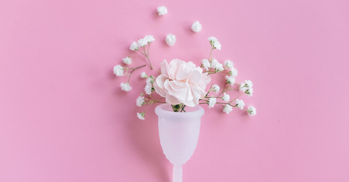 اكتشف مقارنتنا الشاملة، التي تُسلّط الضوء على إيجابيات وسلبيات مختلف المنتجات المتوفرة في السوق. حلل الميزات الأساسية لاتخاذ قرار مدروس واختيار الكاميرا الأنسب لاحتياجاتك.