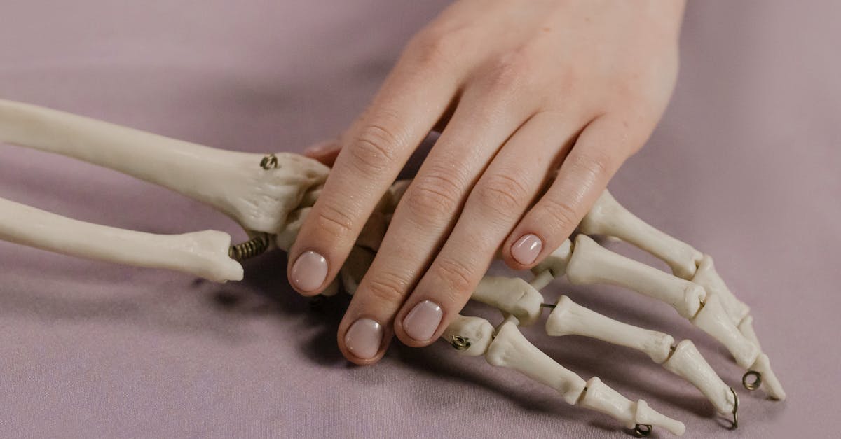 Descubra nossa comparação abrangente para tomar decisões informadas! Seja para produtos, serviços ou opções, nossa análise detalhada ajudará você a escolher o que é melhor para você.