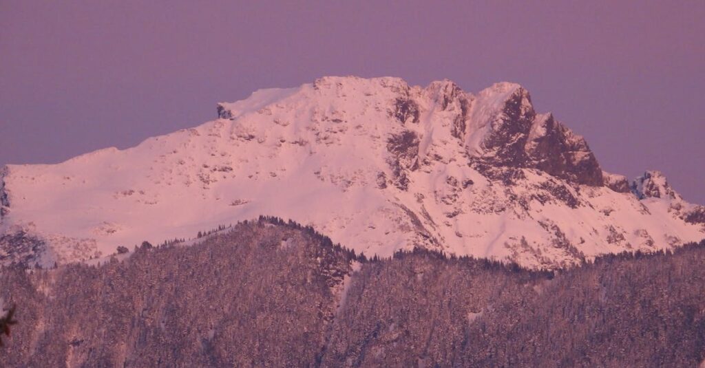 découvrez la coolpix, l'appareil photo numérique polyvalent qui combine performances exceptionnelles et facilité d'utilisation. parfait pour capturer vos moments précieux avec une qualité d'image impressionnante, que ce soit en vacances ou au quotidien. explorez les fonctionnalités innovantes et l'élégant design qui font de la coolpix le choix idéal pour tous les passionnés de photographie.