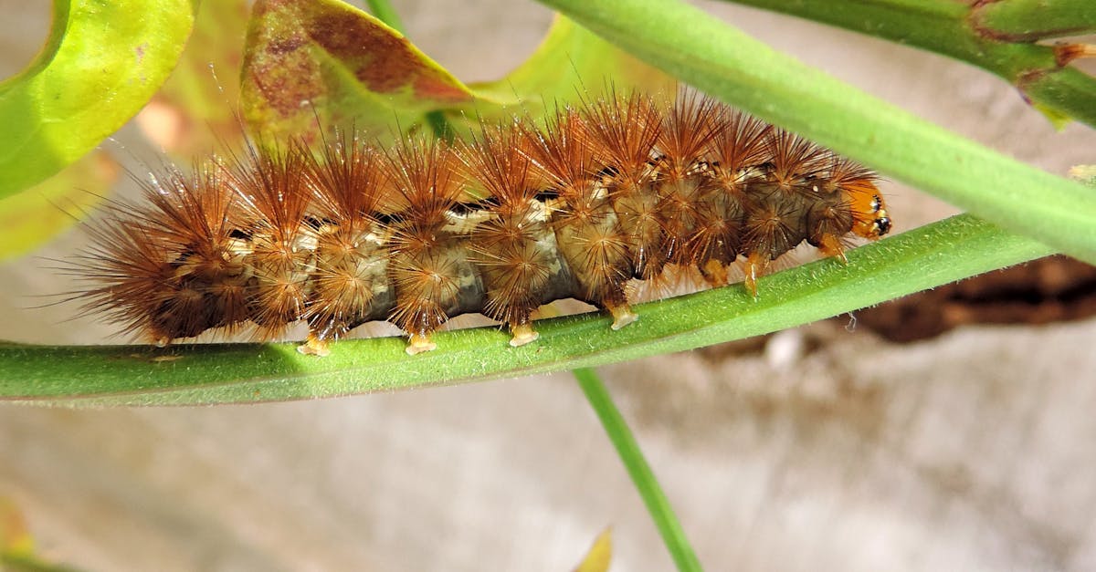 あらゆる瞬間を卓越した画質で捉える理想的なコンパクト カメラ、Coolpix をご覧ください。使いやすく機能が豊富な Coolpix は、初心者でも経験豊富な写真家でも、写真愛好家に最適です。どこにでも持ち運んで、思い出をスタイリッシュに永遠に残しましょう。