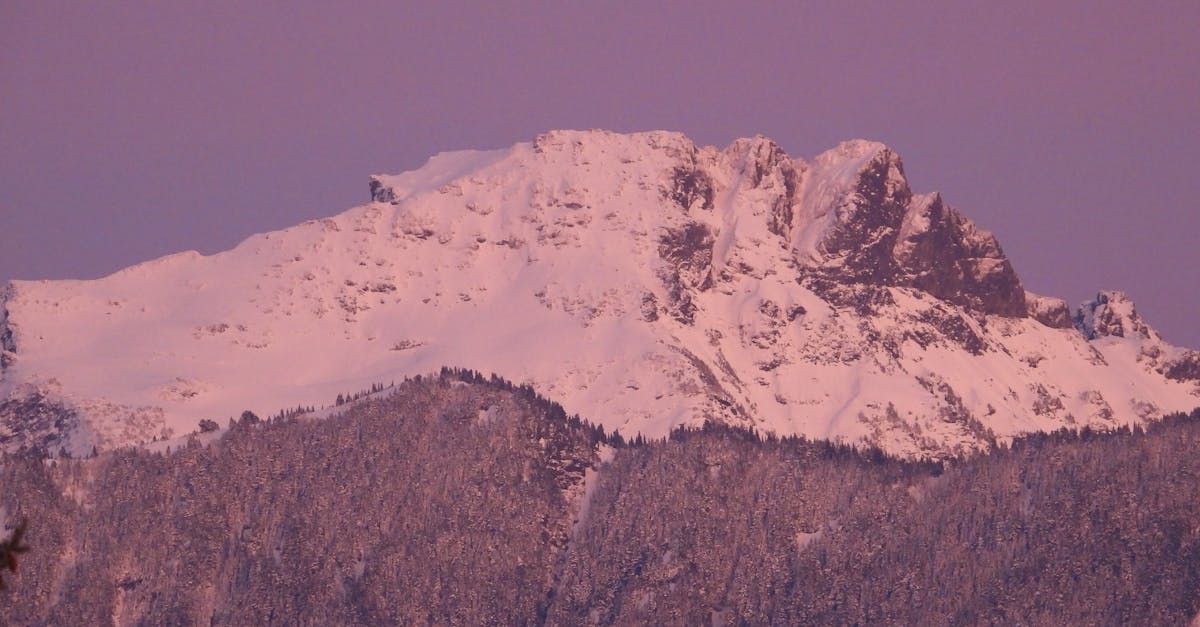 découvrez la coolpix, l'appareil photo numérique polyvalent qui combine performances exceptionnelles et facilité d'utilisation. parfait pour capturer vos moments précieux avec une qualité d'image impressionnante, que ce soit en vacances ou au quotidien. explorez les fonctionnalités innovantes et l'élégant design qui font de la coolpix le choix idéal pour tous les passionnés de photographie.