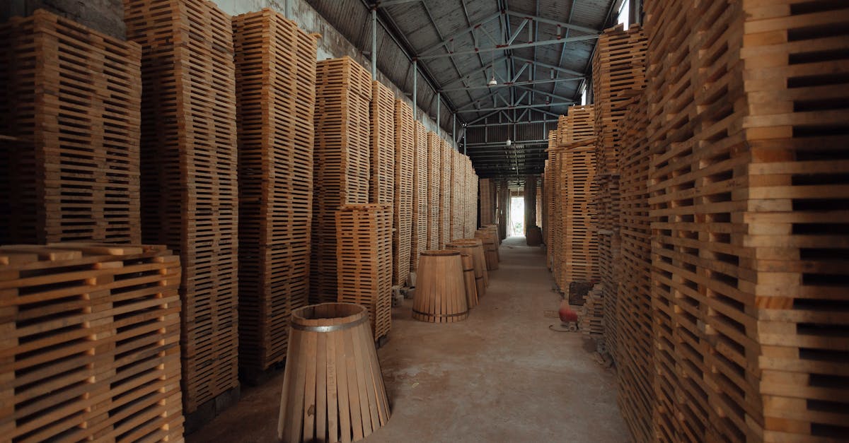 促进传承与集体记忆