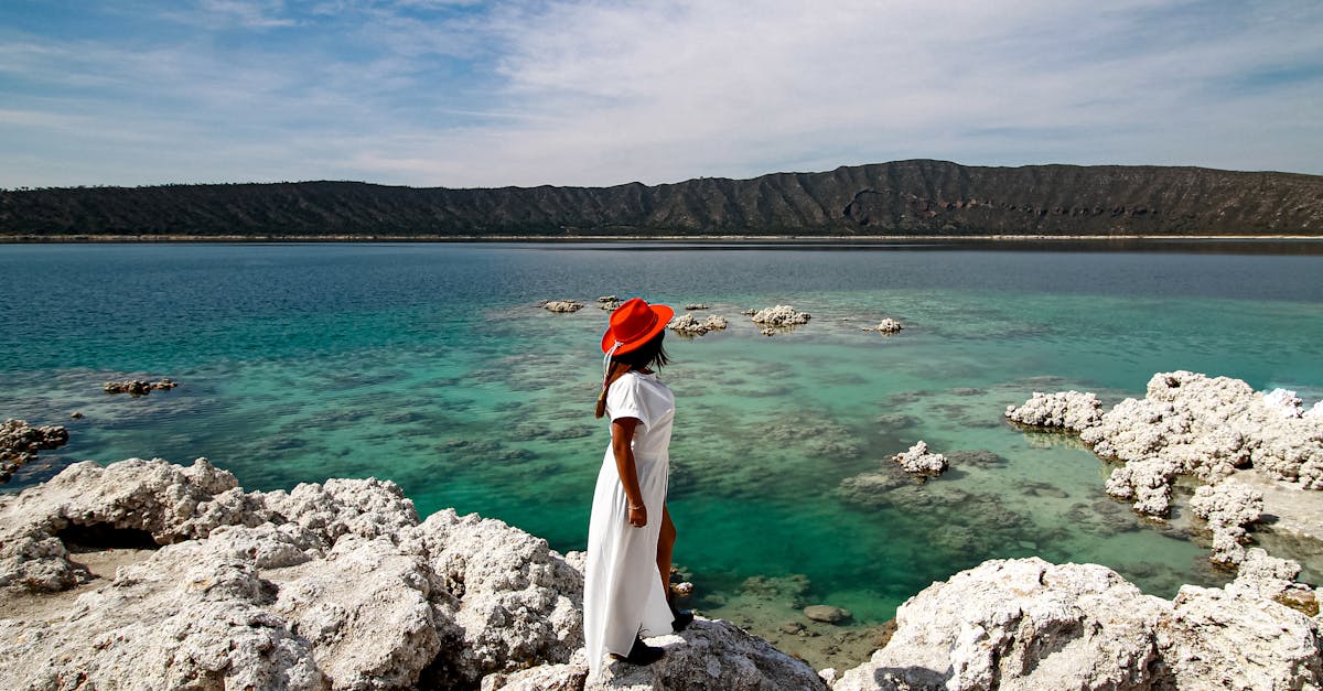 découvrez l'univers fascinant de dora maar, artiste surréaliste et muse de pablo picasso. explorez sa vie, son œuvre et son impact sur le monde de l'art au xxe siècle.