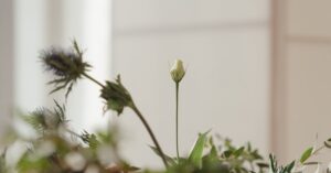 découvrez les artistes émergents qui redéfinissent la scène artistique contemporaine. explorez leur créativité, leur vision unique et les tendances qui façonnent l'avenir de l'art.