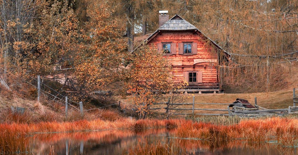 Una biografia dettagliata delle fotocamere: i pionieri del video e della fotografia.