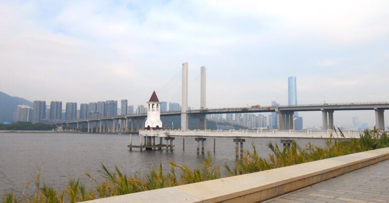 découvrez le nikon coolpix p950, un appareil photo bridge polyvalent offrant un zoom optique impressionnant de 83x, des fonctionnalités avancées de prise de vue en basse lumière et une connectivité wi-fi pour partager vos moments forts facilement. idéal pour les photographes amateurs et les passionnés de nature, capturez des images nettes et détaillées dans toutes les situations.