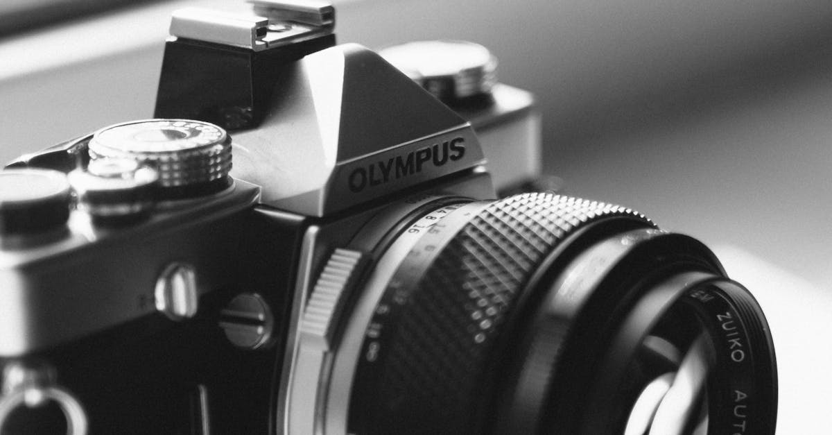 Prestazioni ottiche e qualità dell'immagine: focus su stabilizzazione e nitidezza ottica