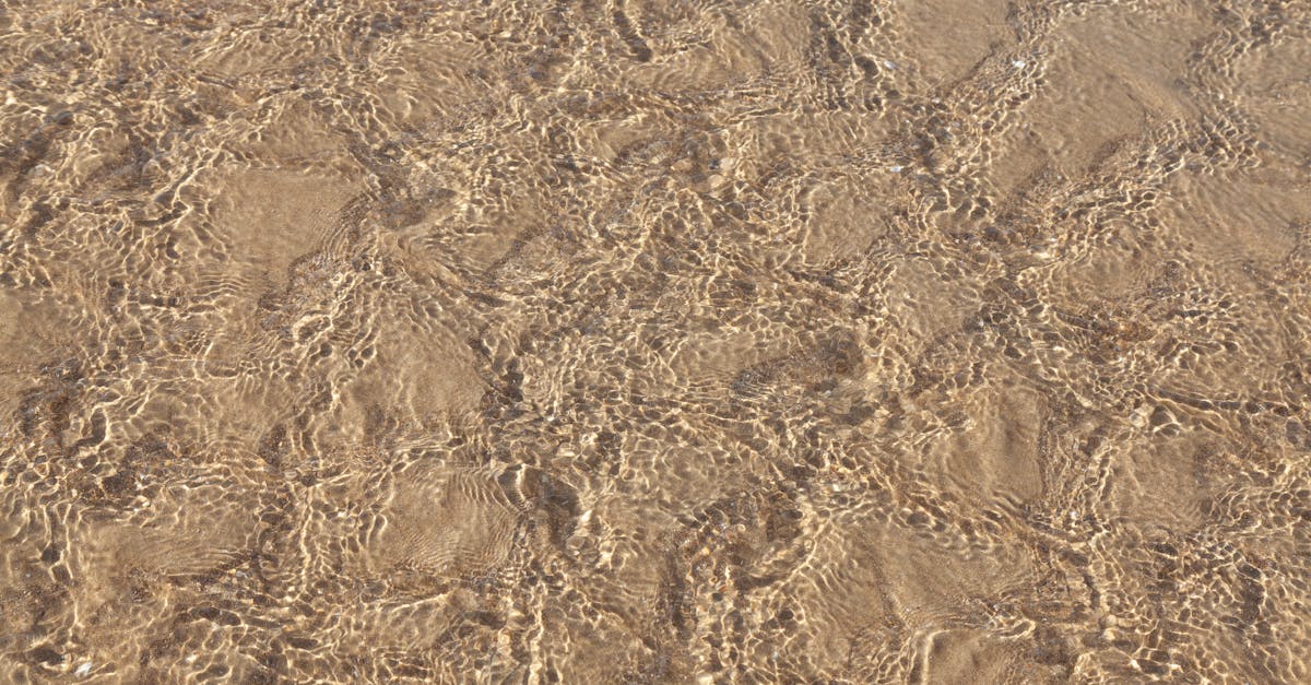 プロ写真家と愛好家写真家のために設計されたハイエンドミラーレスカメラ、OMシステム OM-1 Mark IIをご覧ください。先進技術と革新的な機能で、卓越した画像を撮影できます。