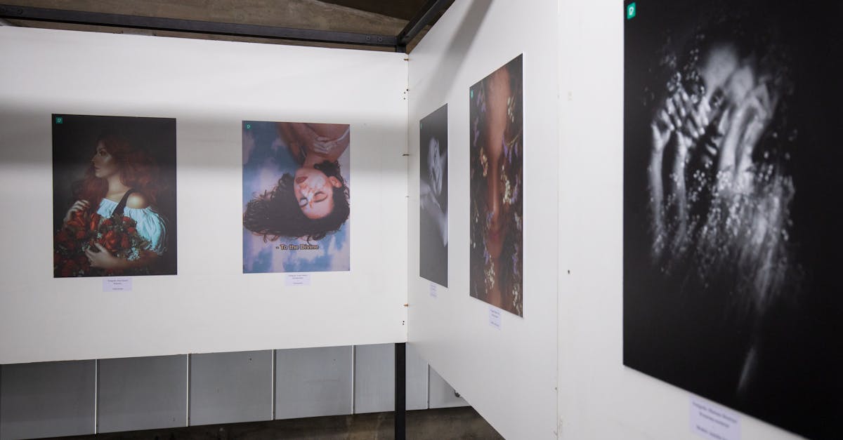 découvrez notre exposition photographique captivante, mettant en lumière des œuvres uniques d'artistes talentueux. plongez dans un univers visuel riche et varié, où chaque image raconte une histoire. rejoignez-nous pour célébrer la beauté de la photographie et l'expression artistique.