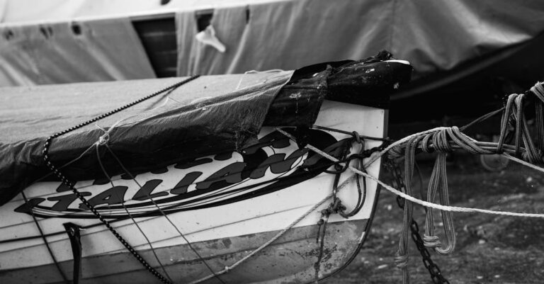 découvrez notre exposition photographique immersive, où chaque image raconte une histoire. plongez dans un monde de créativité et d'émotion à travers les œuvres de photographes talentueux, présentées dans un cadre exceptionnel. ne manquez pas cette occasion unique de célébrer l'art visuel.