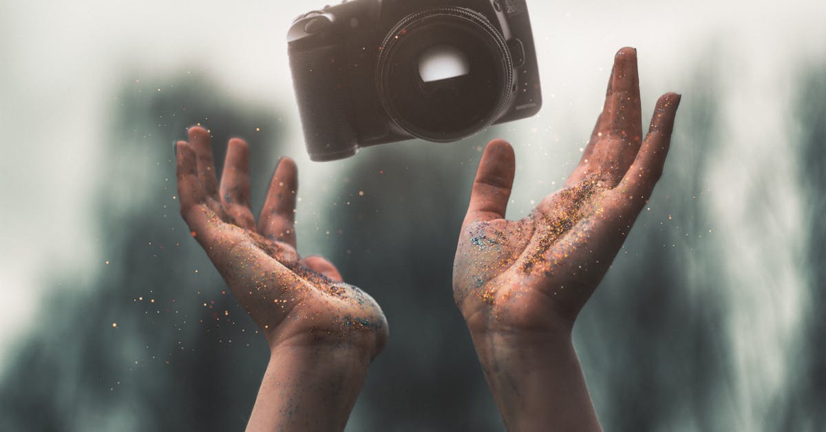 探索摄影的魅力：探索技巧、窍门和灵感，让每个瞬间永垂不朽。学习如何用创造力和热情捕捉周围世界的美好。