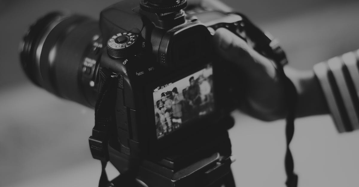 découvrez l'art de la photographie : conseils, techniques et inspirations pour capturer des moments uniques et créer des images mémorables. que vous soyez débutant ou professionnel, explorez l'univers fascinant de la photographie.