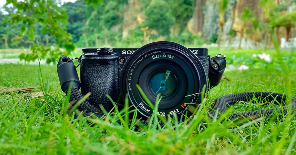 découvrez l'art de la photographie à travers des techniques, des conseils et des inspirations pour capturer des moments uniques et créer des images mémorables. que vous soyez débutant ou photographe expérimenté, explorez notre contenu pour perfectionner vos compétences et révéler votre créativité.