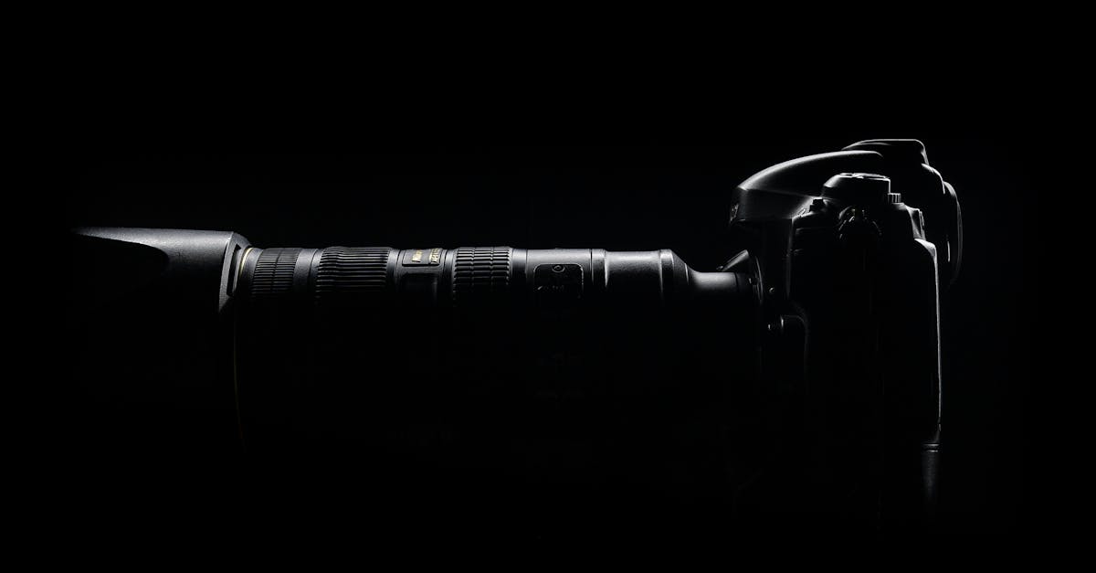 名家与新秀：多元创意的获取途径