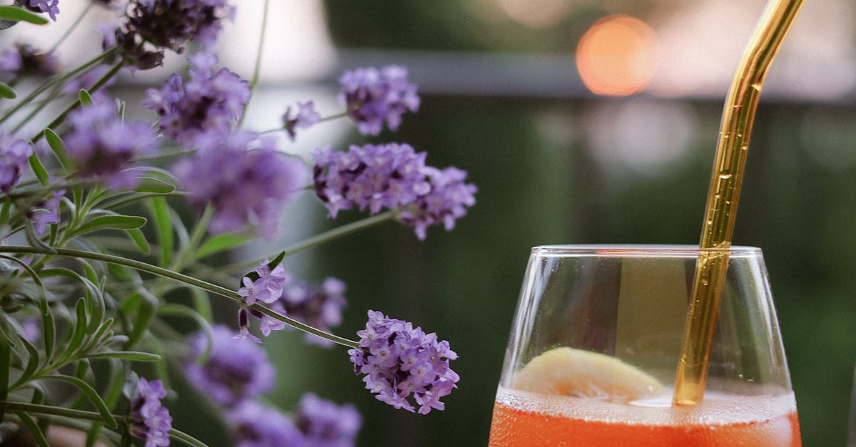 Espaços e eventos culturais centrados na fotografia pin-up em Rillieux-la-Pape