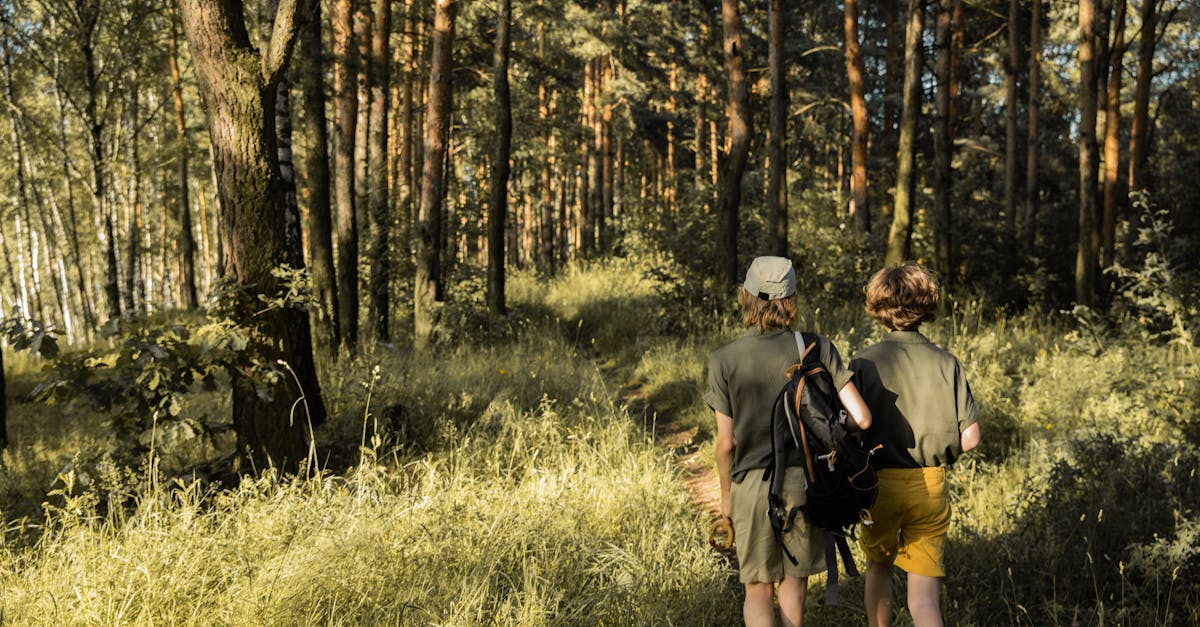 歴史的価値を超えて、これらのサマーキャンプは今日、真の教育哲学を体現しています。社会の結束、統合、そして排除との闘いといった主要な課題に適応しています。子ども時代のデジタル化や自然とのつながりの維持といった課題に直面している現代社会は、これらの場を若者と環境、そして仲間との新たな繋がりを築く手段と捉えています。問題は、人間の相互作用、自律性、連帯といった根源的な価値を犠牲にすることなく、デジタル世界においてこの遺産をいかに生き生きと維持していくかということです。例えば、サン＝タヴォルのアプローチは、伝統的な精神を守りながらも革新的な活動を提供することで、この視点に立っています。これらのキャンプを発展させるための多くの取り組みが展開されており、特に市民的側面を取り入れた、より包括的で教育的なプログラムの開発が進められています。この意味で、この展覧会は、過去と現代的で責任あるプロジェクトを融合させ、2025年の社会に完全に合致するこれらの場所の未来について考察する機会を与えてくれます。これらの課題をより深く理解するために、France Cultureで公開されているオンライン会議では、サマーキャンプにおける現在の教育課題を分析しています。