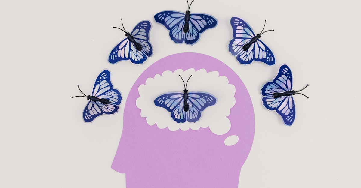 découvrez le pouvoir de la transformation : un parcours vers l'évolution personnelle et professionnelle. explorez des stratégies et des conseils pratiques pour changer votre vie, atteindre vos objectifs et développer votre potentiel.