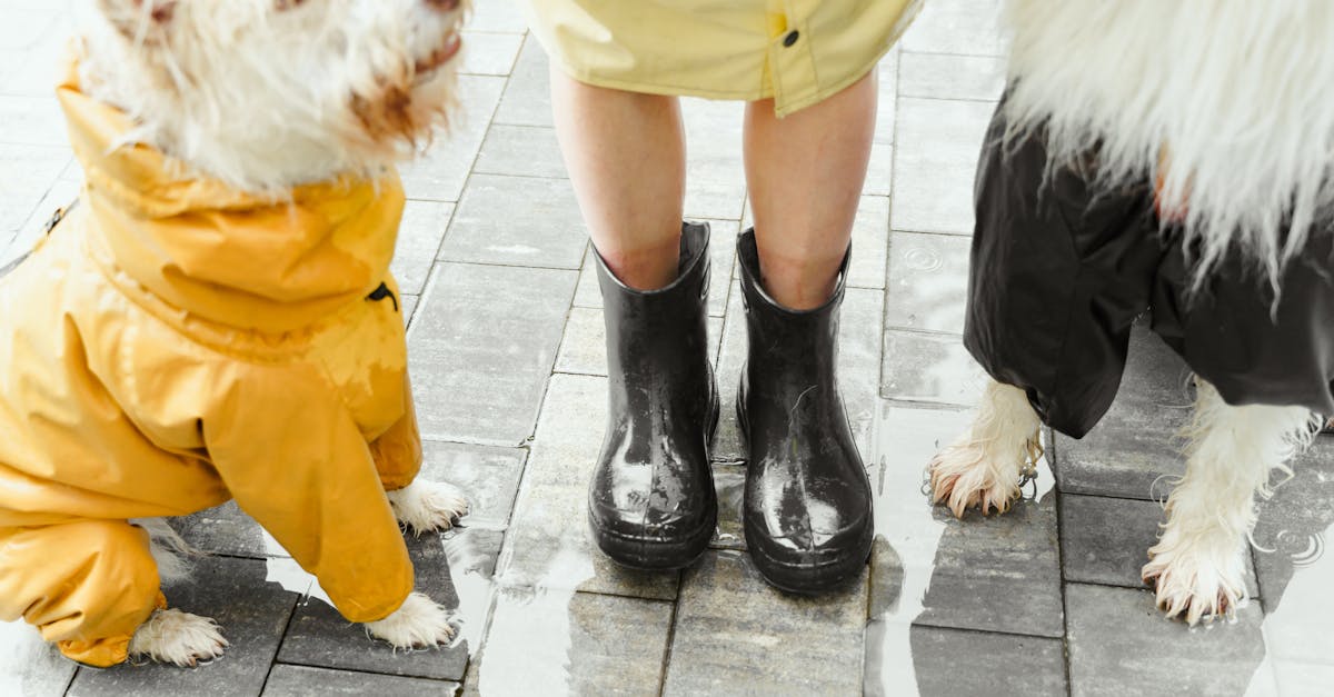 Discover our range of waterproof products that combine style and water protection. Ideal for all your adventures, these items guarantee optimal functionality while remaining fashionable and comfortable. Key Features and Ideal Uses of the Olympus Tough TG-6