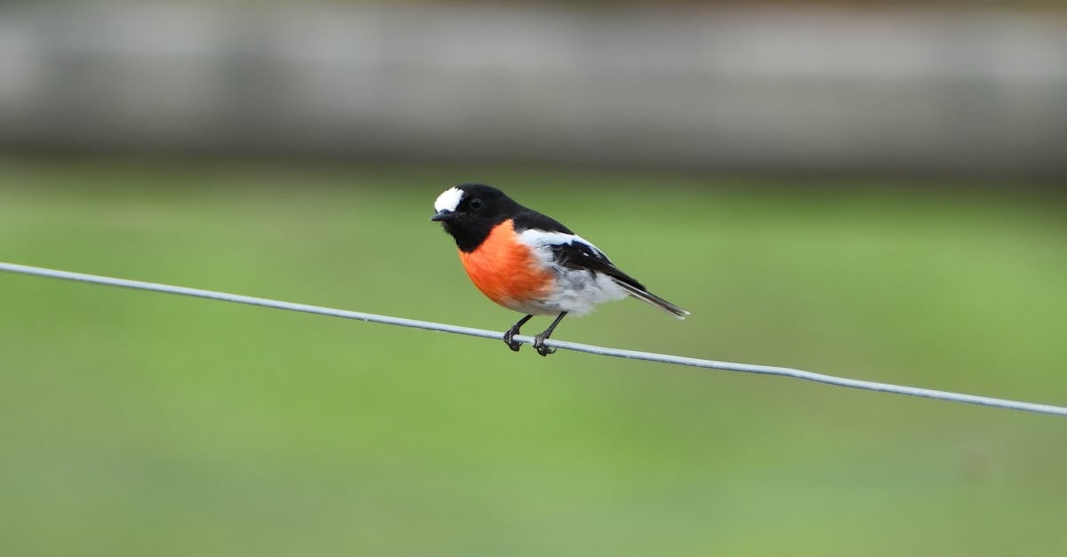 Uso del bianco e nero per esaltare le emozioni