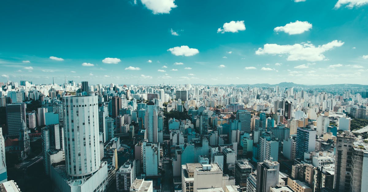 découvrez le brésil, un pays vibrant aux paysages époustouflants, à la culture riche et à la biodiversité impressionnante. explorez ses plages paradisiaques, ses villes animées comme rio de janeiro et são paulo, et plongez au cœur de ses traditions uniques et de sa gastronomie savoureuse.