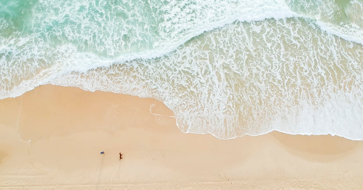 Localирле биологик төрлелекне табыгыз (хайваннар дөньясы, үсемлекләр, диңгез зоналары)