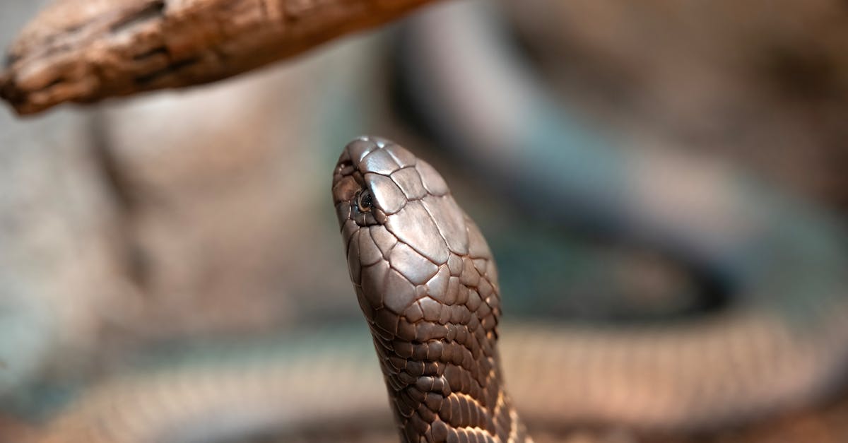 نقص الوعي العام