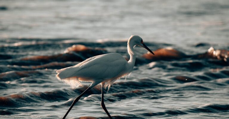 découvrez l'expérience immersive qui vous plongera au cœur d'un monde captivant, alliant technologie et créativité pour des sensations inégalées et des souvenirs inoubliables.