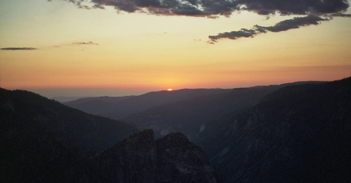 职业道路：在承诺、成长和声誉之间