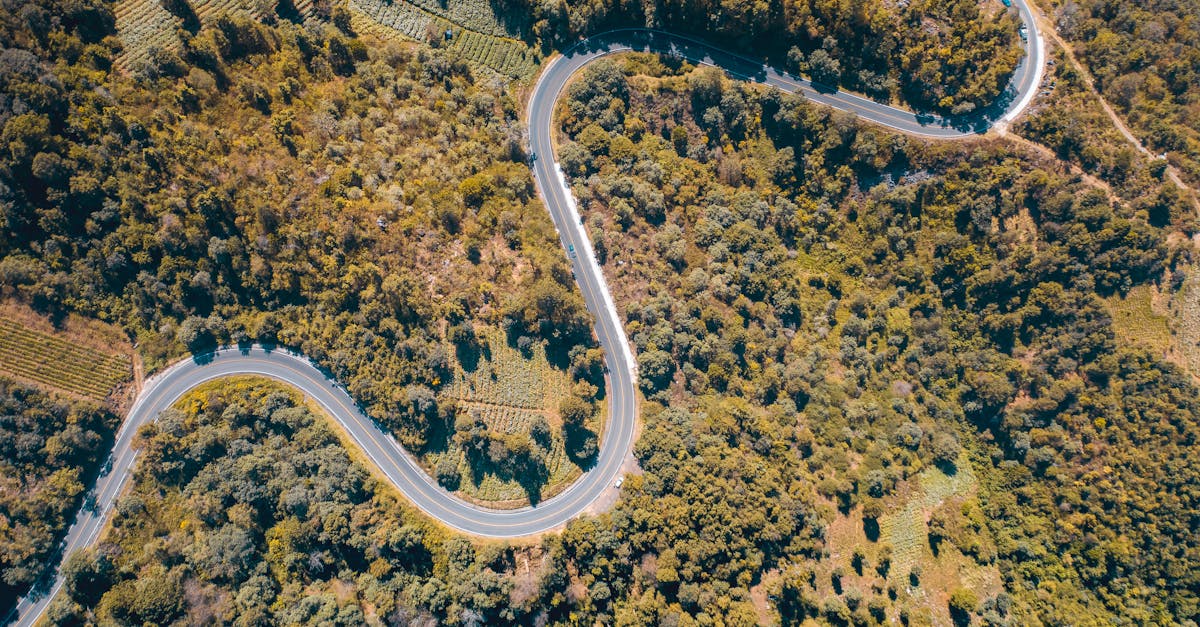 découvrez un voyage inspirant qui éveille l'âme, stimule la créativité et ouvre les portes à de nouvelles perspectives. rejoignez-nous pour explorer des histoires captivantes et des expériences enrichissantes qui transformeront votre vision du monde.