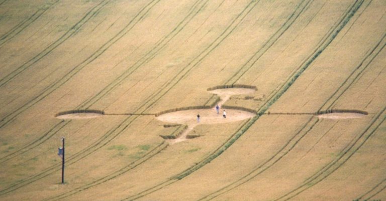 découvrez l'art de la photographie à travers des images captivantes et des histoires fascinantes. explorez des techniques, des astuces et des inspirations qui vous aideront à capturer la beauté du monde qui vous entoure.