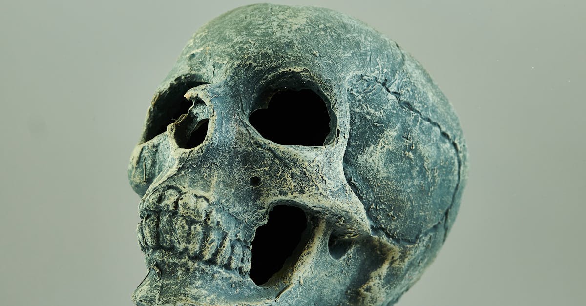 découvrez l'univers fascinant de la photographie au sein de notre musée dédié, où chaque exposition raconte une histoire à travers des images saisissantes. plongez dans l'art de la capture visuelle et explorez l'évolution de la photographie à travers les âges.