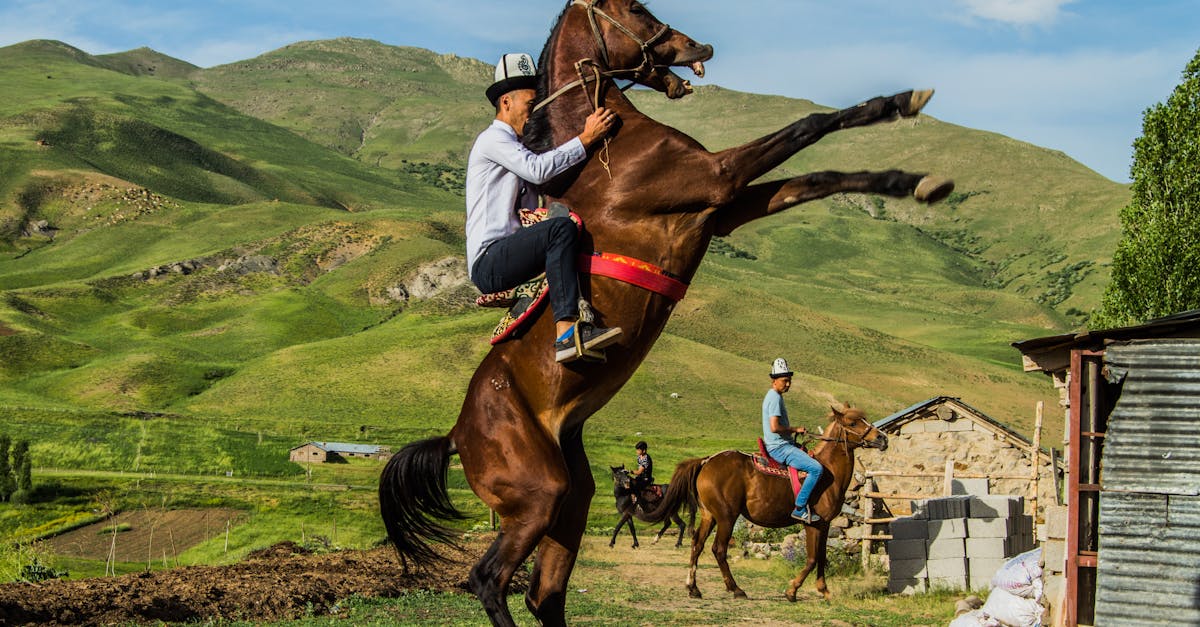 探索体育节，这是一个不容错过的盛会，汇聚了比赛、表演和适合全家参与的活动，共同庆祝人们对体育的热情。加入我们，为您喜爱的运动员加油，共度难忘的时光！