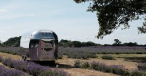 découvrez nos camps d'été passionnants pour enfants et adolescents ! offrez à vos enfants une expérience inoubliable avec des activités ludiques, éducatives et sportives dans un cadre sûr et naturel. inscrivez-vous dès maintenant pour des vacances enrichissantes et amusantes !