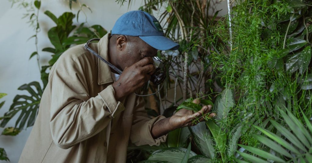 découvrez la photographie engagée : un art qui capture des moments significatifs et transmet des messages puissants à travers l’objectif. transformez vos souvenirs en images porteuses de sens.