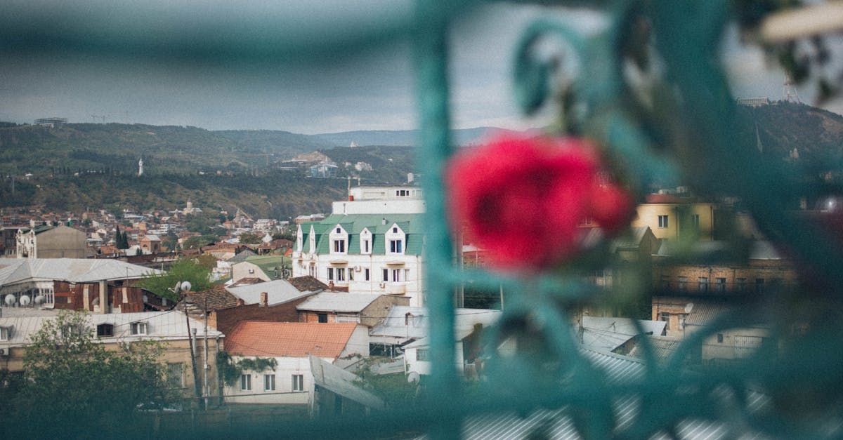 découvrez le pictorialisme, un mouvement photographique du début du xxe siècle qui privilégie l'art et l'esthétique à la simple représentation réaliste. plongez dans un univers où la photographie devient une forme d'art, grâce à des techniques variées qui transforment des images en œuvres d'une grande sensibilité et poésie.