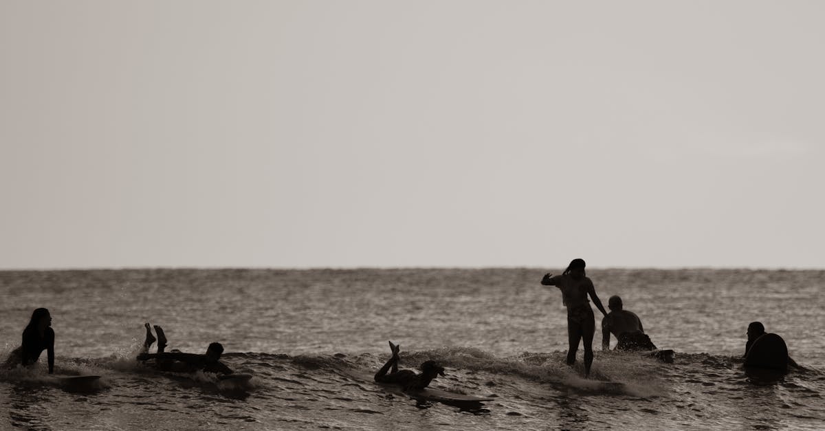 Scopri tutto sulle maree: spiegazioni sui fenomeni di marea, orari delle maree, consigli per osservare e comprendere l'influenza della luna e del sole sugli oceani.