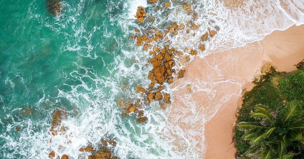 découvrez tout ce qu'il faut savoir sur les marées : explications simples, horaires, causes et effets sur la nature et les activités humaines, pour mieux comprendre ce phénomène naturel fascinant.