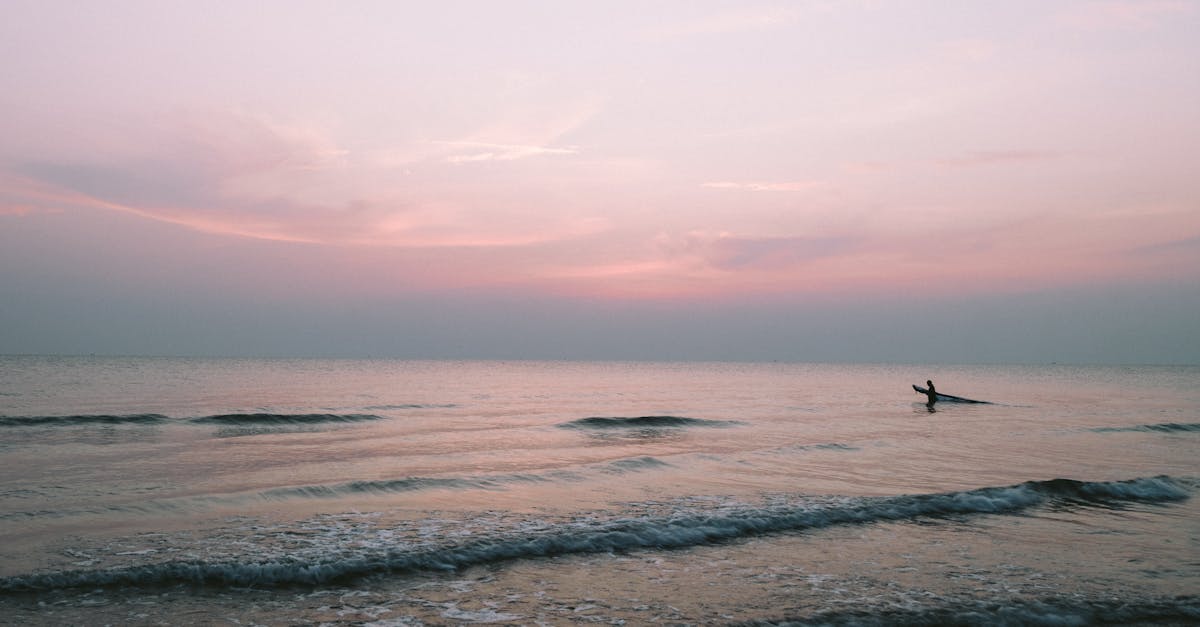 Scopri tutto sulle maree: definizioni, come funzionano, il loro impatto sull'ambiente e suggerimenti per comprendere meglio questo fenomeno naturale essenziale per la vita marina.