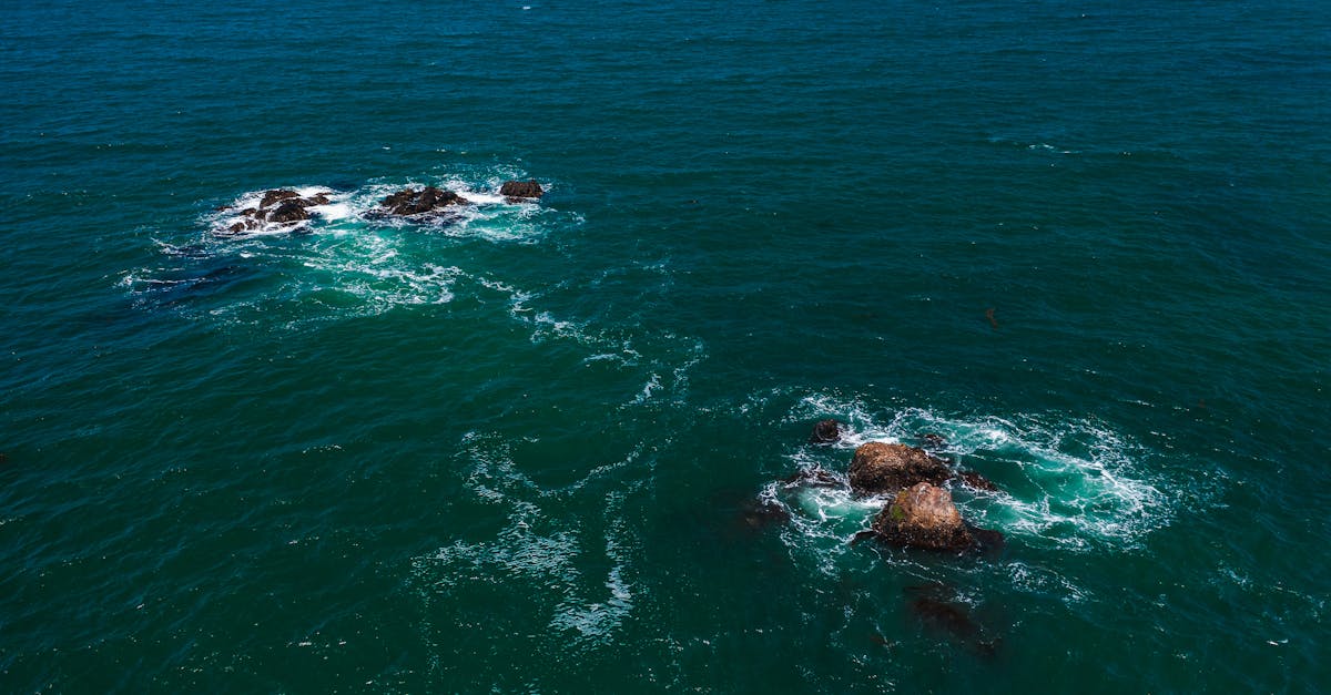 Integrando le sue opere nel panorama dell'arte contemporanea, Gilles Régnier si afferma come una figura di spicco nel panorama fotografico normanno. La sua attenzione ai dettagli e la capacità di catturare la luce naturale conferiscono alle sue immagini un realismo sorprendente, lasciando trasparire al contempo una dimensione artistica. La forza delle sue fotografie risiede nella loro capacità di rendere tangibile la potenza del mare, spesso intangibile nella nostra vita quotidiana. Il suo approccio non si limita alla semplice documentazione, ma offre una lettura davvero poetica dei luoghi che immortala. Attraverso le sue fotografie, crea un dialogo tra arte, natura e cultura locale, sottolineando l'importanza del patrimonio naturale nel plasmare l'estetica del paesaggio. La sua influenza si estende oltre la scena locale, raggiungendo un pubblico più ampio, in particolare attraverso mostre periodiche e pubblicazioni digitali. La fotografia di Gilles Régnier, che unisce autenticità e sensibilità, invita tutti a fermarsi un attimo e a contemplare la silenziosa potenza del mare.